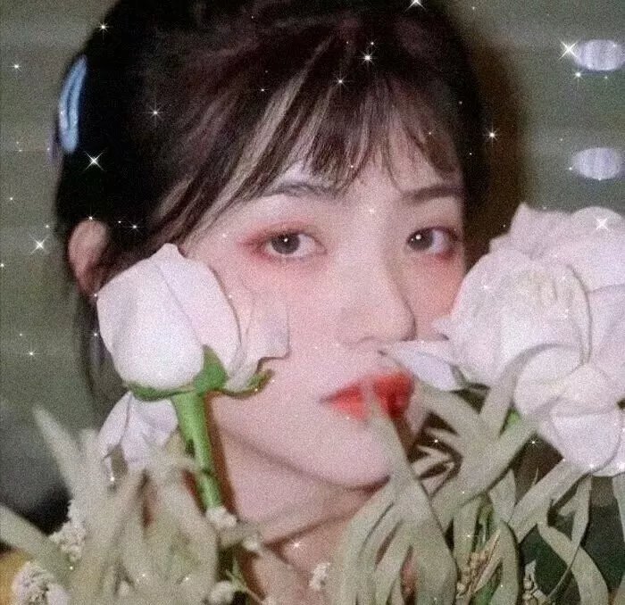 艾米丽的美国化